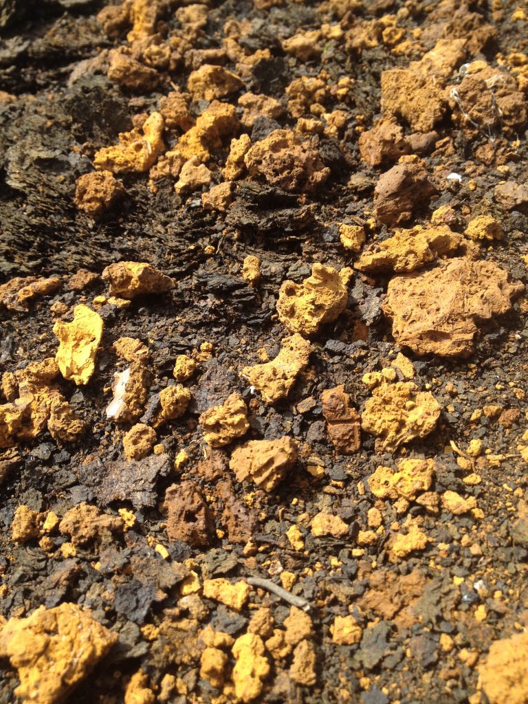 bog iron ore ireland eric dennis bloomery smelting