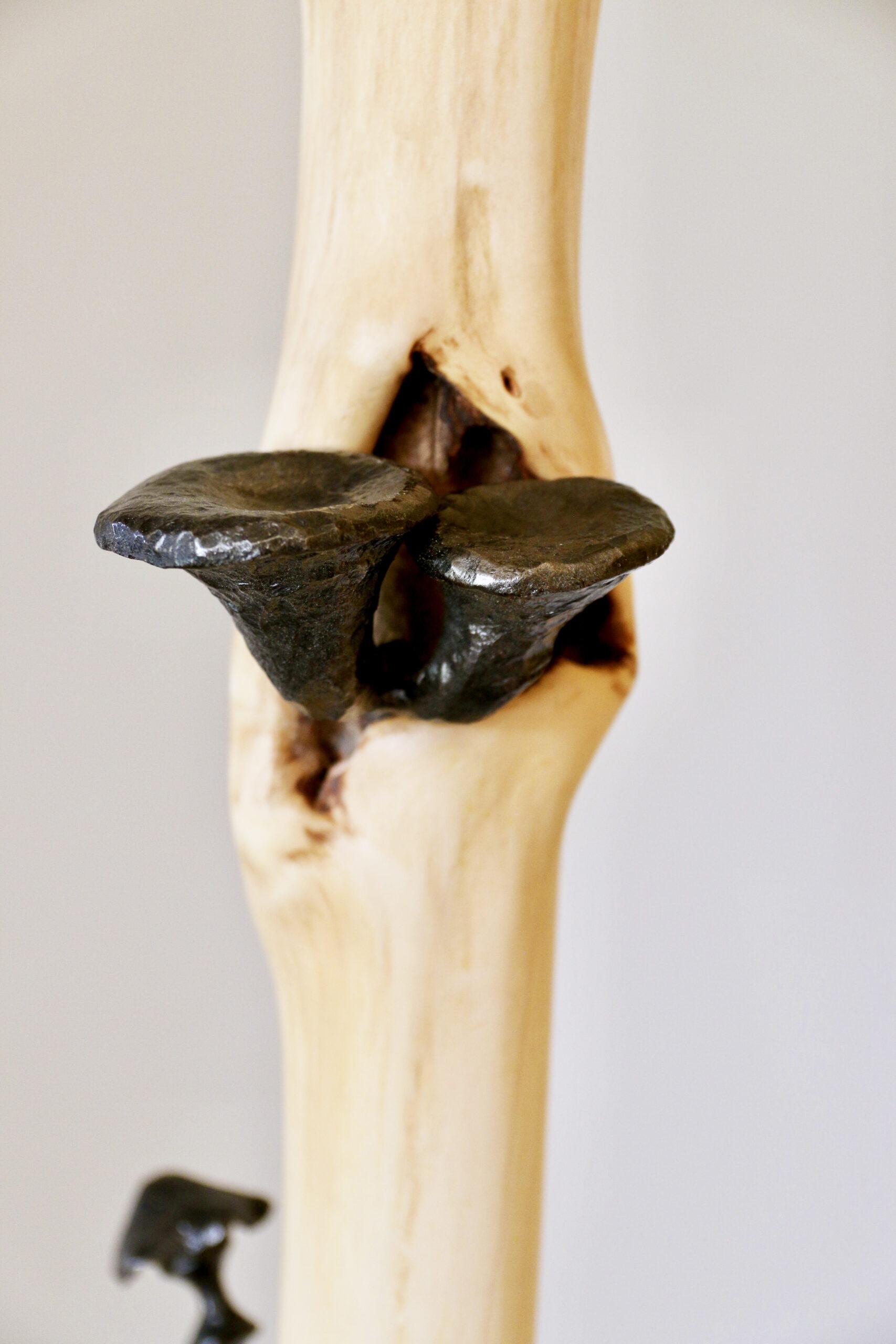 shelf mushroom coat rack
