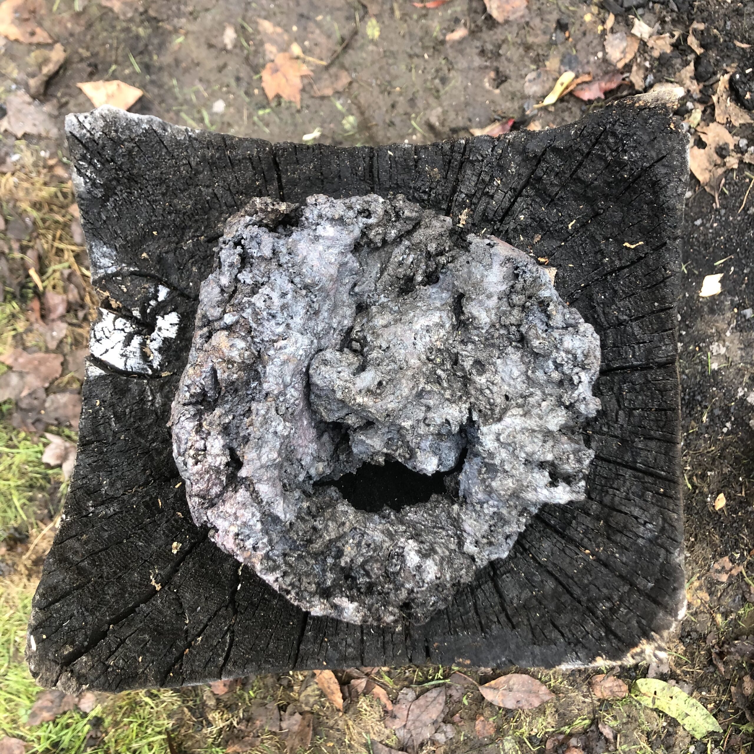 Iron bloom on stump after compaction