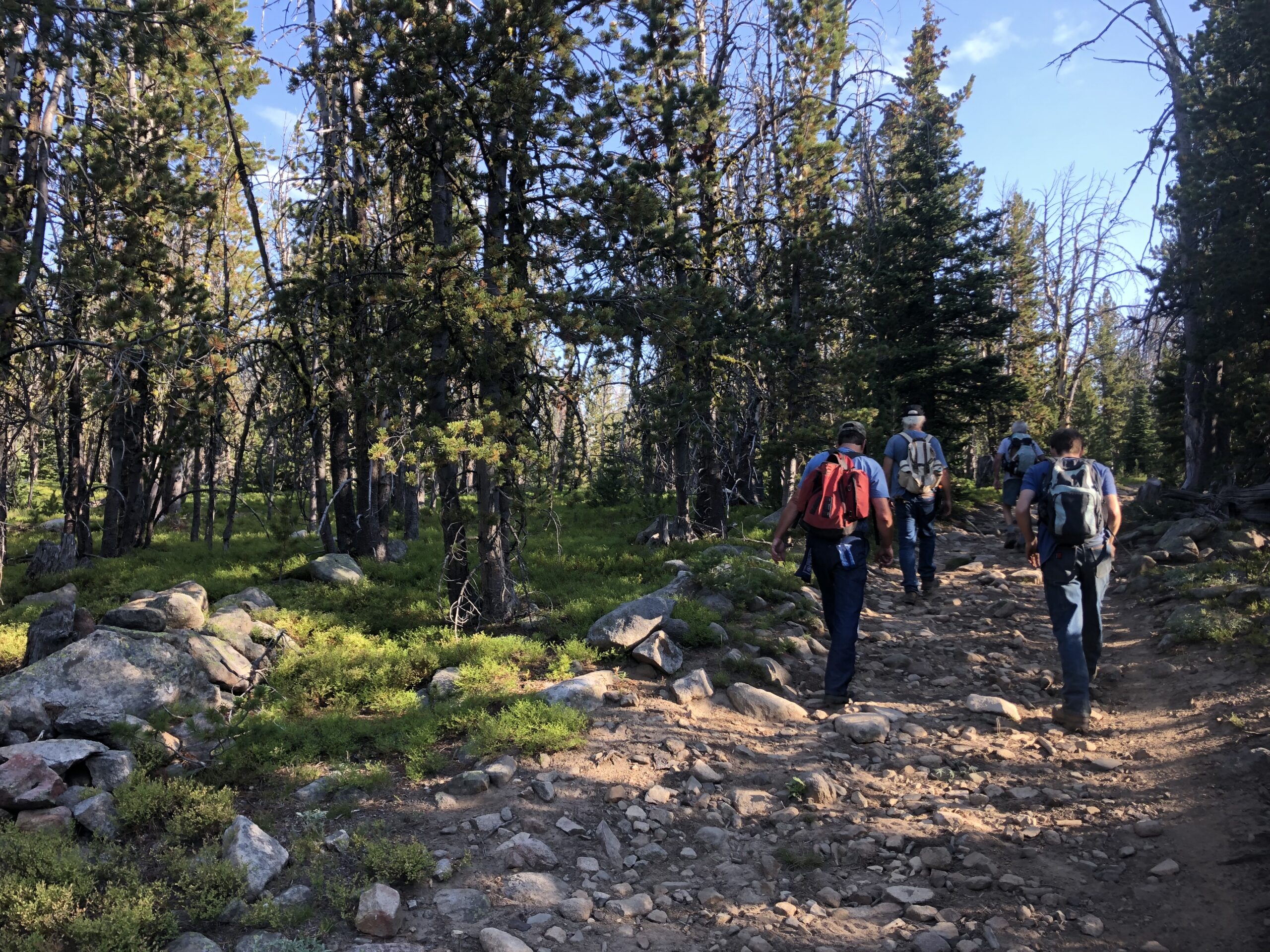 ore collecting in bloom iron workshop montana